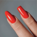 corso no file shape (1)