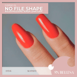 corso no file shape